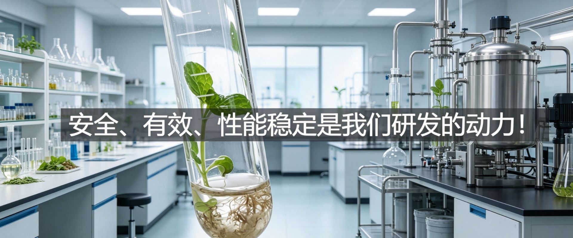 中文banner2